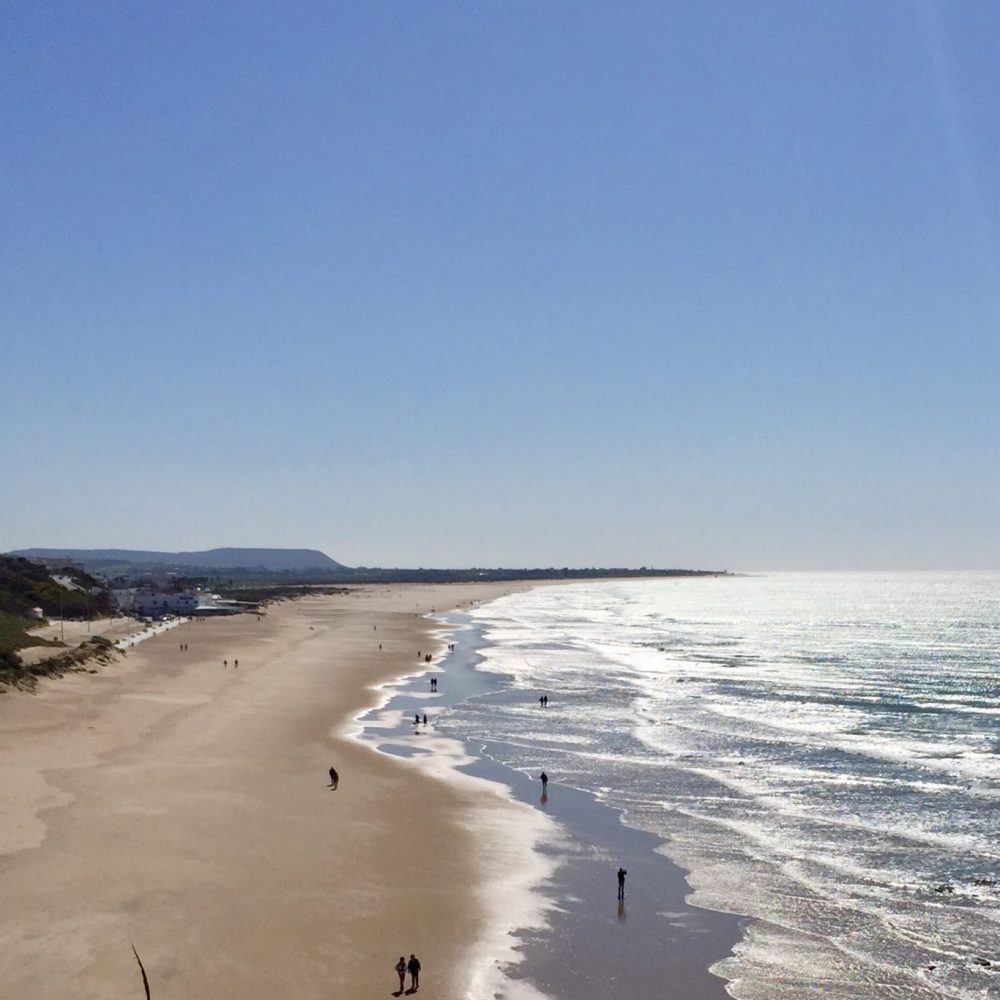 valentina-sotnikova-pbzpkNIqHuc-unsplash